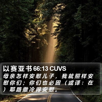 以 赛 亚 书 66:13 CUVS Bible Verse Image