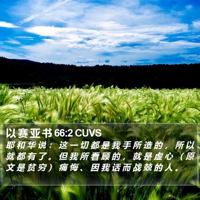 以 赛 亚 书 66:2 CUVS Bible Verse Image