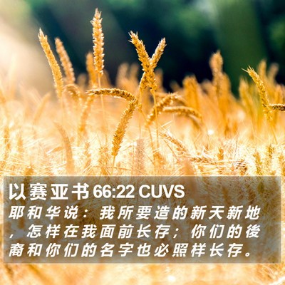 以 赛 亚 书 66:22 CUVS Bible Verse Image