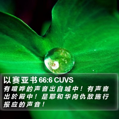 以 赛 亚 书 66:6 CUVS Bible Verse Image