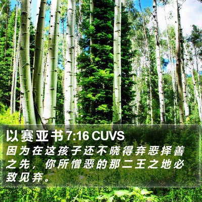 以 赛 亚 书 7:16 CUVS Bible Verse Image