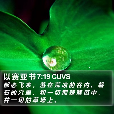 以 赛 亚 书 7:19 CUVS Bible Verse Image
