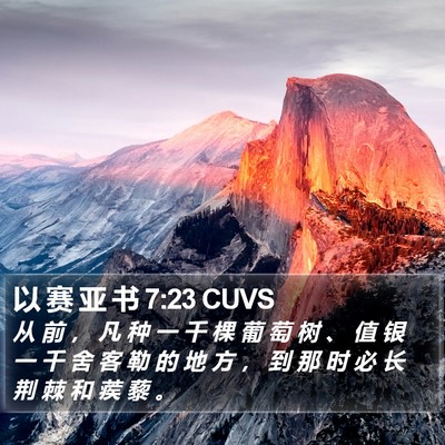 以 赛 亚 书 7:23 CUVS Bible Verse Image