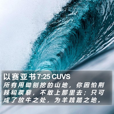 以 赛 亚 书 7:25 CUVS Bible Verse Image