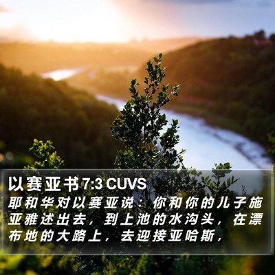 以 赛 亚 书 7:3 CUVS Bible Verse Image
