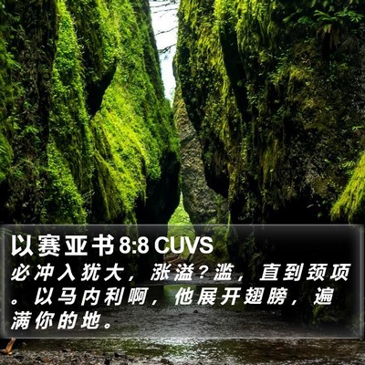 以 赛 亚 书 8:8 CUVS Bible Verse Image