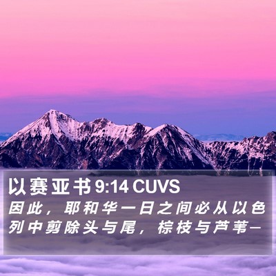 以 赛 亚 书 9:14 CUVS Bible Verse Image
