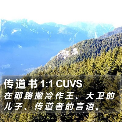 传 道 书 1:1 CUVS Bible Verse Image