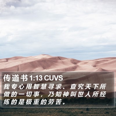 传 道 书 1:13 CUVS Bible Verse Image