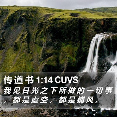 传 道 书 1:14 CUVS Bible Verse Image