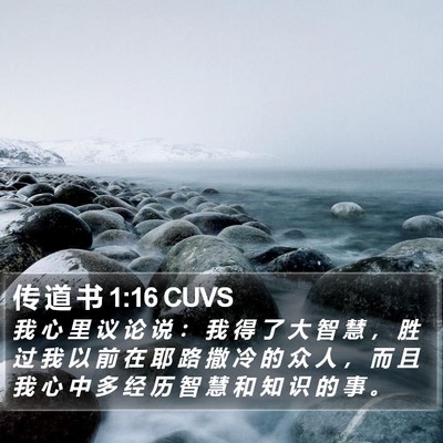 传 道 书 1:16 CUVS Bible Verse Image