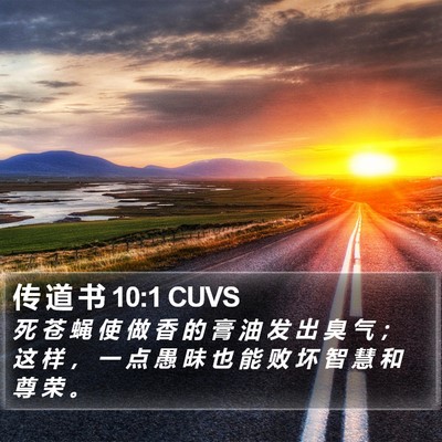 传 道 书 10:1 CUVS Bible Verse Image