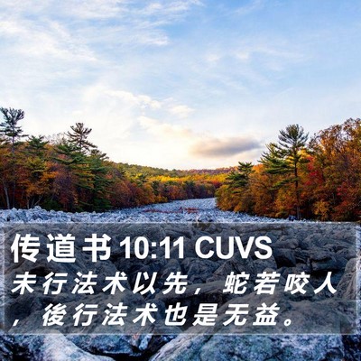 传 道 书 10:11 CUVS Bible Verse Image