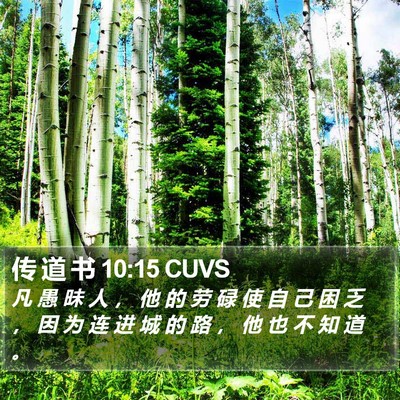 传 道 书 10:15 CUVS Bible Verse Image