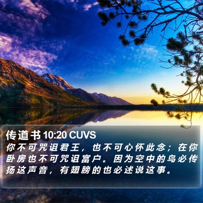 传 道 书 10:20 CUVS Bible Verse Image