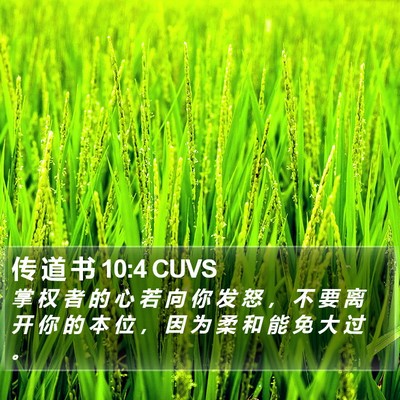 传 道 书 10:4 CUVS Bible Verse Image