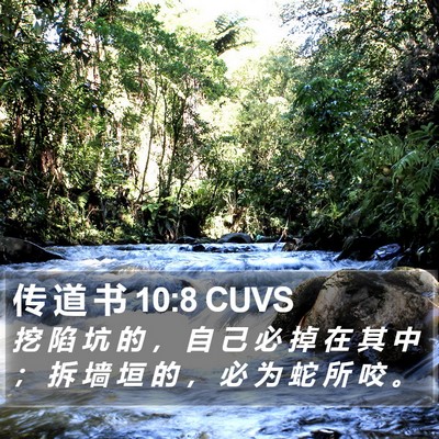 传 道 书 10:8 CUVS Bible Verse Image