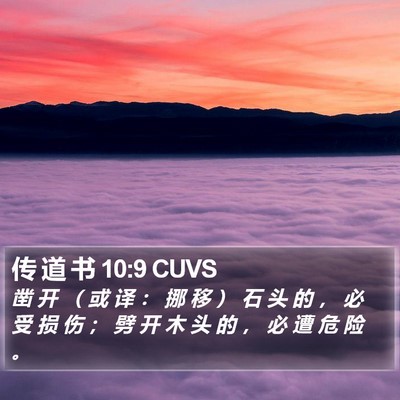 传 道 书 10:9 CUVS Bible Verse Image