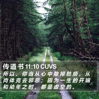 传 道 书 11:10 CUVS Bible Verse Image