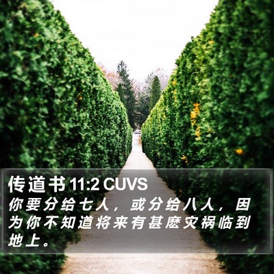 传 道 书 11:2 CUVS Bible Verse Image