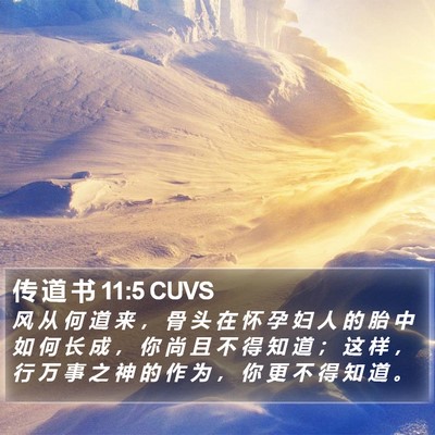 传 道 书 11:5 CUVS Bible Verse Image
