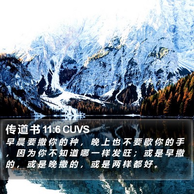 传 道 书 11:6 CUVS Bible Verse Image