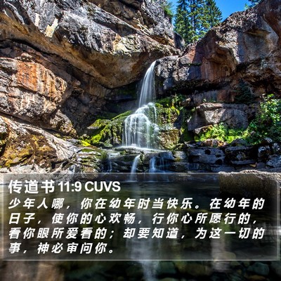 传 道 书 11:9 CUVS Bible Verse Image