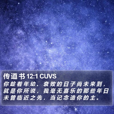 传 道 书 12:1 CUVS Bible Verse Image