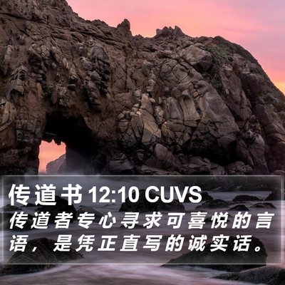 传 道 书 12:10 CUVS Bible Verse Image