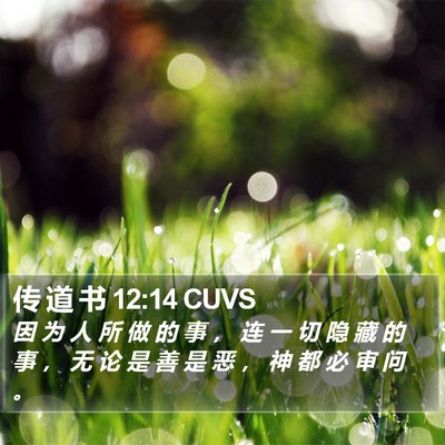 传 道 书 12:14 CUVS Bible Verse Image