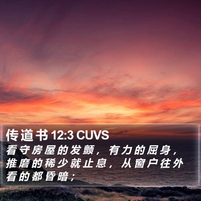 传 道 书 12:3 CUVS Bible Verse Image