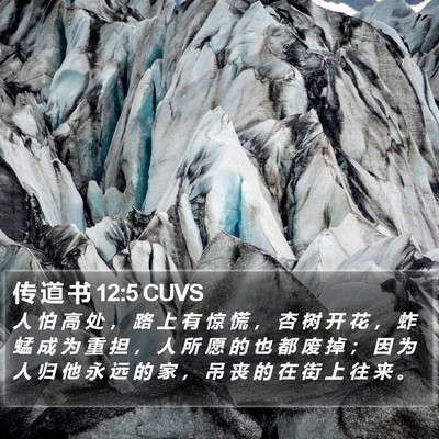 传 道 书 12:5 CUVS Bible Verse Image