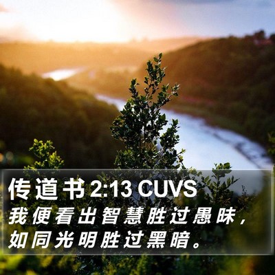传 道 书 2:13 CUVS Bible Verse Image