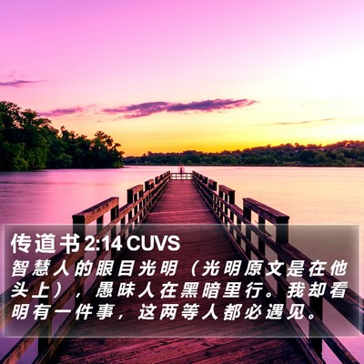 传 道 书 2:14 CUVS Bible Verse Image
