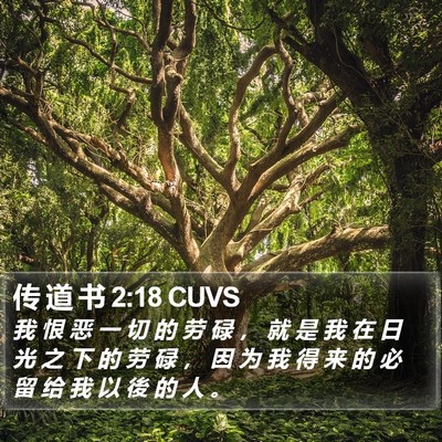 传 道 书 2:18 CUVS Bible Verse Image