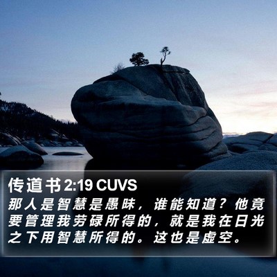传 道 书 2:19 CUVS Bible Verse Image