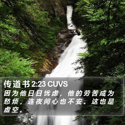 传 道 书 2:23 CUVS Bible Verse Image