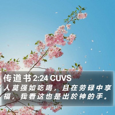 传 道 书 2:24 CUVS Bible Verse Image