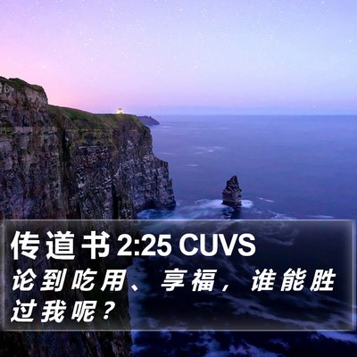传 道 书 2:25 CUVS Bible Verse Image