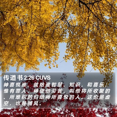 传 道 书 2:26 CUVS Bible Verse Image