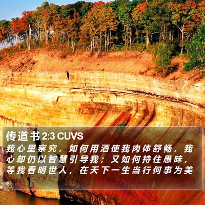 传 道 书 2:3 CUVS Bible Verse Image