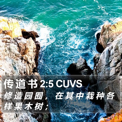 传 道 书 2:5 CUVS Bible Verse Image