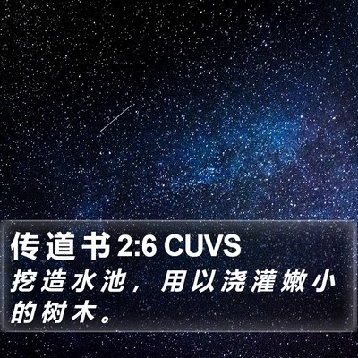 传 道 书 2:6 CUVS Bible Verse Image