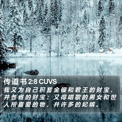 传 道 书 2:8 CUVS Bible Verse Image