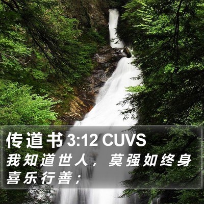 传 道 书 3:12 CUVS Bible Verse Image