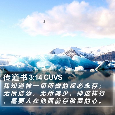传 道 书 3:14 CUVS Bible Verse Image