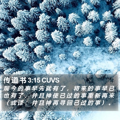 传 道 书 3:15 CUVS Bible Verse Image