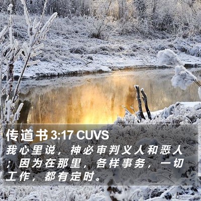 传 道 书 3:17 CUVS Bible Verse Image