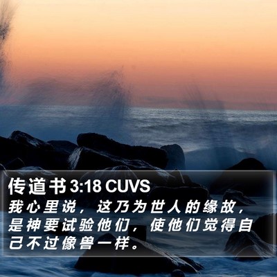 传 道 书 3:18 CUVS Bible Verse Image
