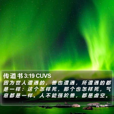 传 道 书 3:19 CUVS Bible Verse Image
